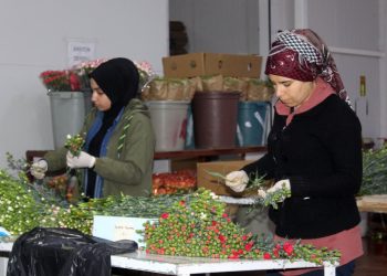 Antalya’dan 25 ülkeye 60 milyon çiçek ihraç edildi