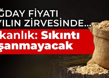 Buğday fiyatı 10 yılın zirvesinde… Bakanlık: Sıkıntı yaşanmayacak