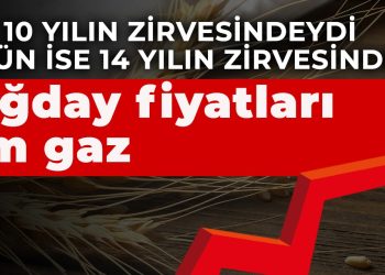 Dün 10 yılın zirvesindeydi bugün ise 14 yılın zirvesinde! Buğday fiyatları tam gaz