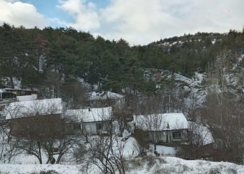 Mimarlardan ‘Köfteciyi değil ormanı koruyun’ çıkışı