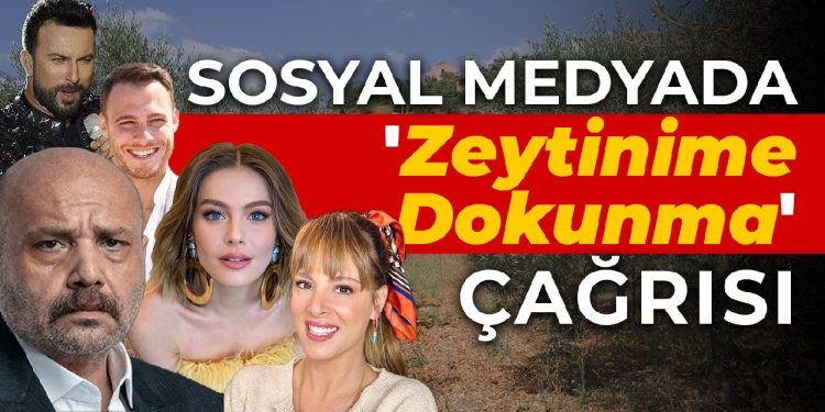 Sosyal medyada ‘Zeytinime Dokunma’ çağrısı