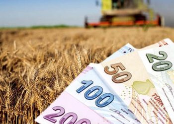 Tarım-ÜFE Şubat’ta rekor tazeledi