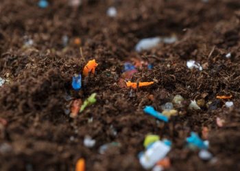 2021’de Türkiye’deki plastik atık 5 milyon 600 bin tonu buldu