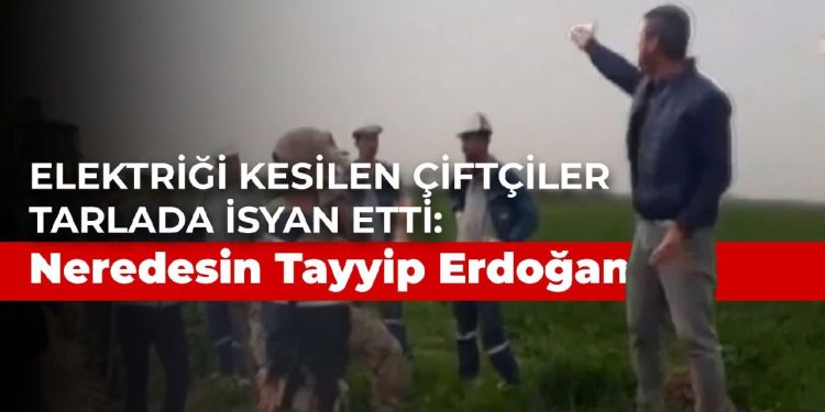 Elektriği kesilen çiftçiler tarlada isyan etti: Neredesin Tayyip Erdoğan
