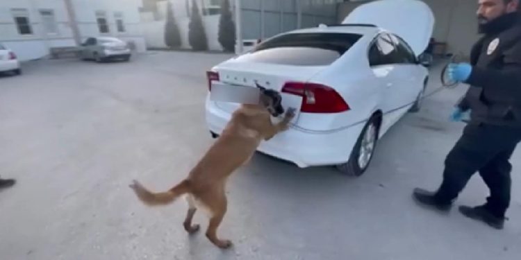 ‘Felix’ 15 kilo eroin yakalattı