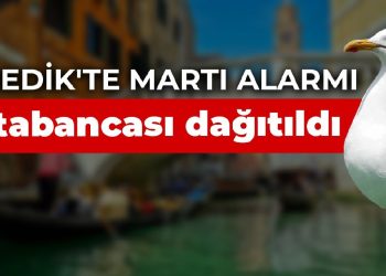 Venedik’te martı alarmı: Su tabancası dağıtıldı