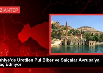 İslahiye’de Üretilen Pul Biber ve Salçalar Avrupa’ya İhraç Ediliyor